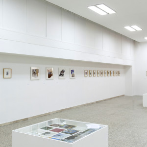 Installation view / Museo della Permanente, Milano, 2016. Photo by Nanni Fontana