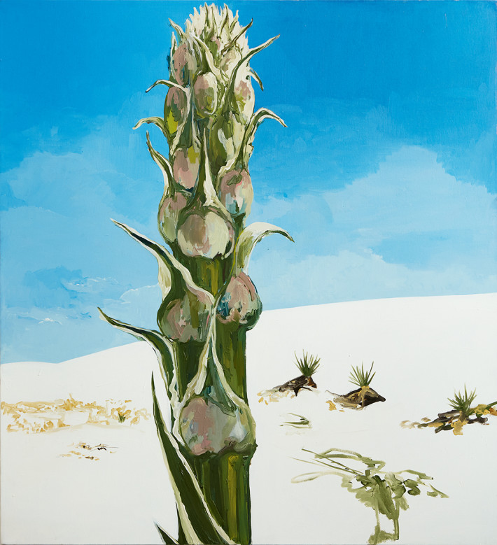 La Regina del Deserto / Oil on canvas, 120 x 100 cm