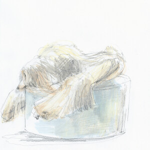 Lazy Afghanhound 1 / Pencils and markers on paper - 24 x 33 cm