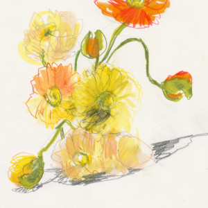 A glimpse of spring / Pencils and markers on paper - 24 x 33 cm 