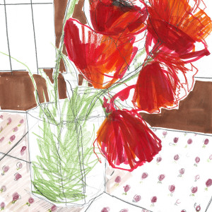 I papaveri di Nicorvo / Pencils and markers on paper - 24 x 33 cm