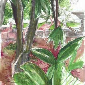 Palazzo Invernizzi / Pencils and markers on paper - 24 x 33 cm 